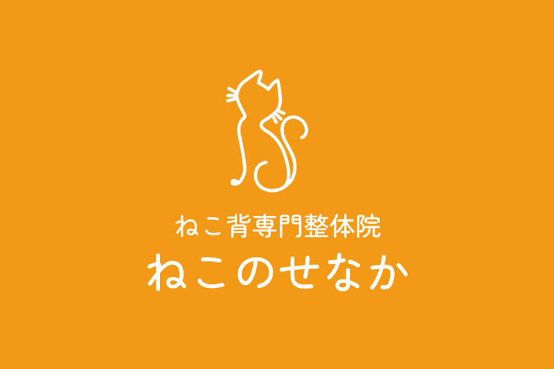 【ねこ背専門整体院】ねこのせなか